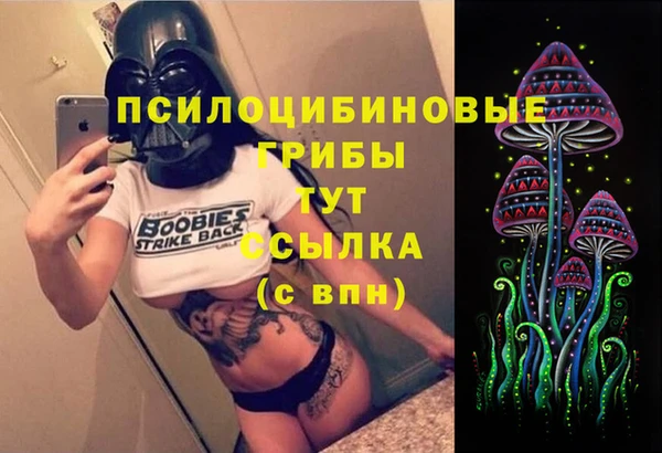 2c-b Балахна
