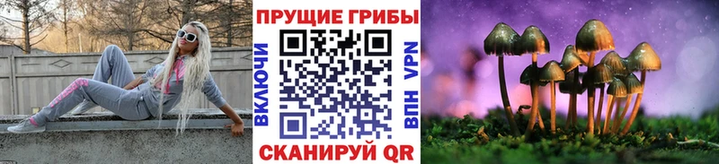 Псилоцибиновые грибы Cubensis  Чистополь 